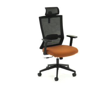 Tone Ergonomic Mesh Office Chair with Head rest
