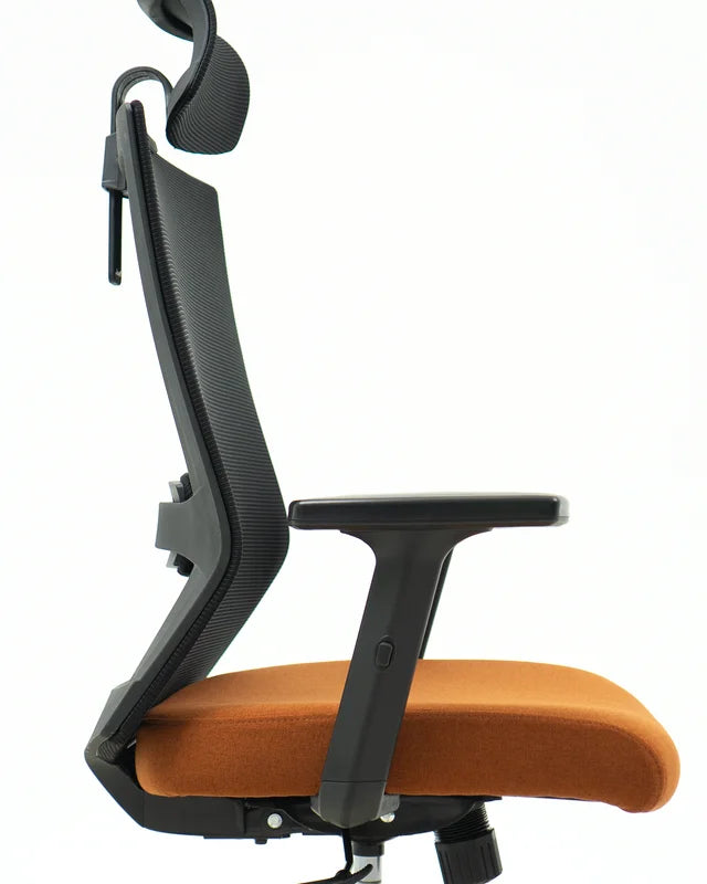 Tone Ergonomic Mesh Office Chair with Head rest